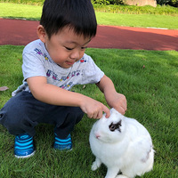 ���ȶ�˲������Ǽҵĸ�������ã��������������