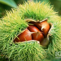 ������,�Դ���������أ�90%���˶���֪����