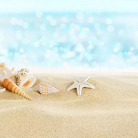 ��������ʦ��һ��Ҫӵ����7�����ʣ����1���ر���Ҫ��| ��ѡ