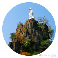 �ֻ���֮���ݶ����Ļ�԰