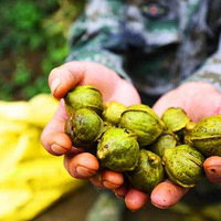 �����ٰ�����ɽ���ң��Żݴ󽵼ۣ������۰���