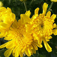 2018���˿�ʾ�����������