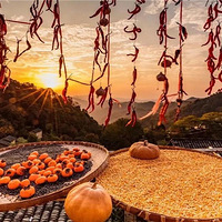 10.21������¥|�㽭�ܱ߲���һ������С���䣬ӵ�������˵�ɹ�