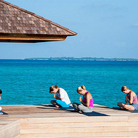 �����٤������ѵ�������ںϣ������汸��ְҵ������