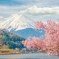 �ձ�����һ��Ҫȥ�ľ�����ʲô��