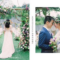 �������ռǡ�LILY'S  WILL