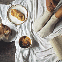 �⼸����ϰ�ߣ�������������� ��һ��������������