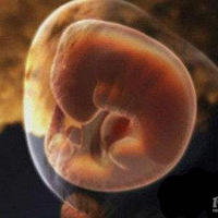 ����1���µ��и���������Щ�仯����Ҫע����Щ���