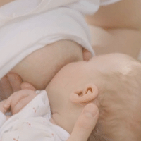 ��ͷ������ô�죿6��С���������������