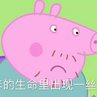 ���˸���������������̣���֪��ʲô�нٺ���������