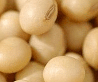 ����ת������붫����ת����Ĵ�����