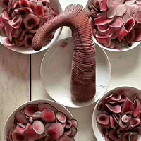 ���ձر��C����ɽ�˲�