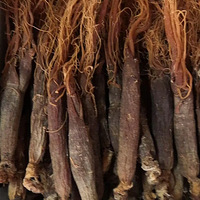 ���ձر��������