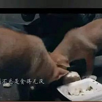 �������ѵ���Ƶ������һЩ����㲻�˽⣬��ʦҲ�����У�