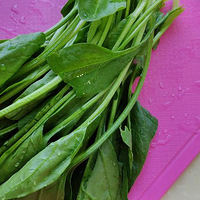 ����ʳƪ������˻���