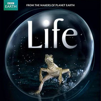 ���˺ü����ԭ����Ȼ��ѧ��¼Ƭ��˵˵Ů�����е�7�����氮��