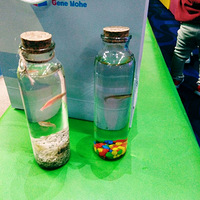 ����Ļ����