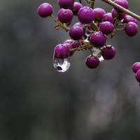 �������ʵ  ��������