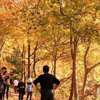12.2�����գ�ͽ��������ʮ����ŵ�����������㣡