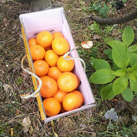 ��ƽ��԰-ӿȪ�۽ۣ�˵��������źó�