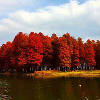 12.9||ͽ�����ѹŵ���������������ɼ��ɫ