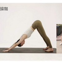 ÿ���٤��ʽ�붯����С����