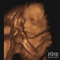 �ϰ���ˣ�99Ԫ�Ϳ�����������ά�ʳ���