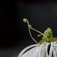 ��ջ���  ��������