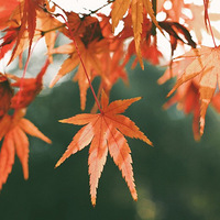 ����Ļ���̽��