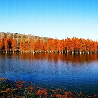 �ֵ�һ������ʱ��������������ɼ�֣�ͽ�����ѹŵ���ĩ��