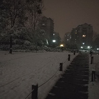 ��԰����ѩ��