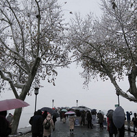 ���Ų�ѩ ��ɽ��ѩ��