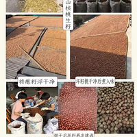 �ٰ�ɽ����