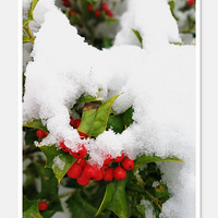 2018���һ��ѩ��������������