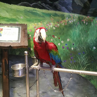 ��䶯�������԰