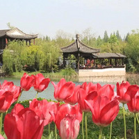 2018.12.21-2018���㣬2019�ĳ�����ֵ��ӵ�У�
