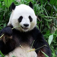 2018��������ĸ��������ܽ�