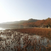 ���붬�������������ѵ�һ����̫��??