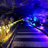 Discover Seoul Pass�׶����ܵ����������������ι���