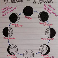 ��ô�ü򵥵���Ϣ��֯ͼ�ﺢ������֪ʶ����ǿ���䣿