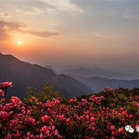 ��ش���Դ��ͽ����Ӱ�����ȥ��