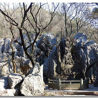 �����ӻ������������ 1? ���ɽ��[