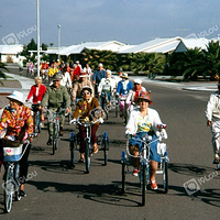 ����ʽ����