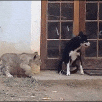 ������˵�����裬���¡�����ĵ�һ��Ӧ����Ҫ