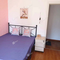 һ���� �۹����� ��Ȧ ���Զ��� ��װȫ�� ������ҵ2200