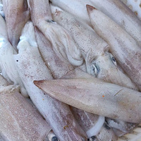 ��������Ұ�����ʸɻ��Ƽ�