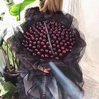 �Ի�ר�����Ժ���׻�����������Ļ�����