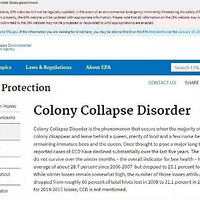 �Ϻ�����Ӣ���ˢ����12000�ʵ�ȱ�ڣ�����ʲô�����㣿