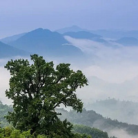 ��������ɽ��һ���ļ���һ������