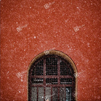 ��ǽ��ѩ���ʹ���